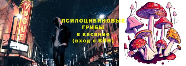 сатива Абдулино