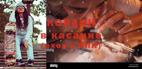 сатива Абдулино