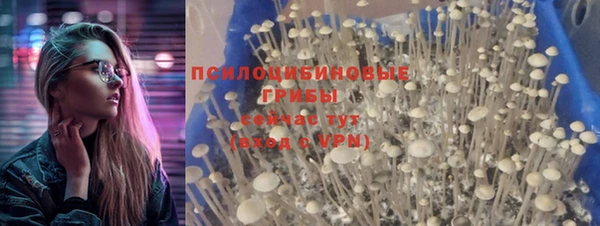 сатива Абдулино